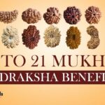 1 to 21  Mukhi Rudraksha Benefits