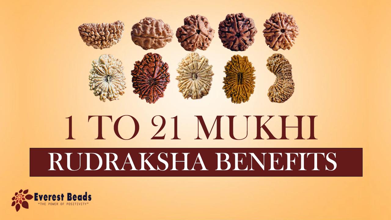 1 to 21 mukhi rudraksha benefits