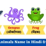 पानी वाले जानवरों के नाम हिंदी व अंग्रेजी | Water Animals Name in Hindi & English With Pictures