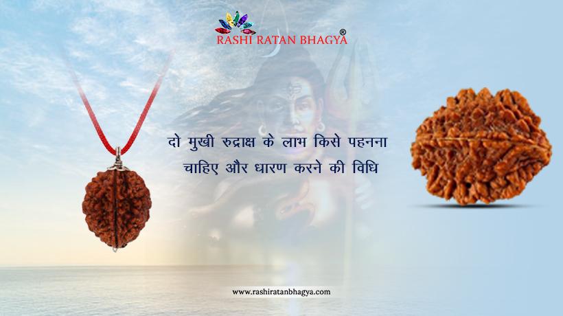 2 mukhi rudraksha benefits in hindi